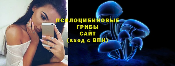 Альфа ПВП Верея