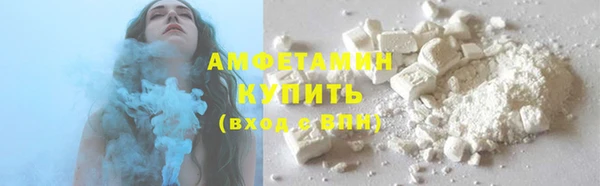 Альфа ПВП Верея