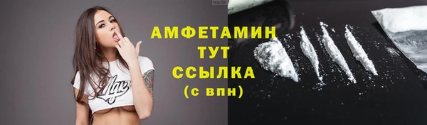 Альфа ПВП Верея