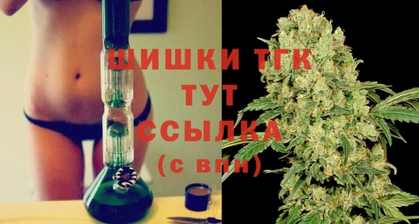 индика Тутаев
