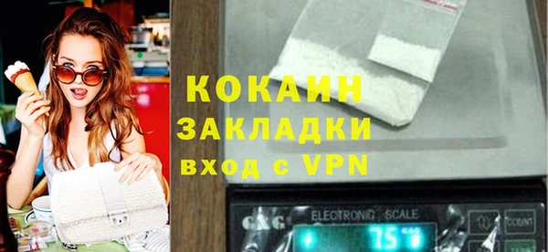 прущие грибы Туринск
