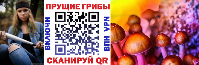 гидра ONION  Ипатово  Псилоцибиновые грибы Cubensis 